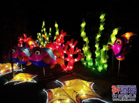 (匈牙利《新導(dǎo)報》/金曉曉 歐陽燕清 攝) (匈牙利《新導(dǎo)報》/金曉曉 歐陽燕清 攝)