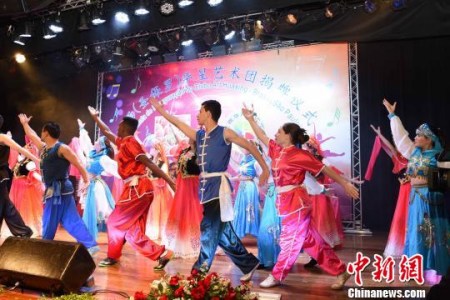 圖為：巴西朋友表演中國功夫?！∧尚邸z