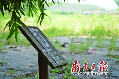 江門鶴山雙合段潮人徑標(biāo)識(shí)。 南方日?qǐng)?bào)記者 潘偉珊 攝