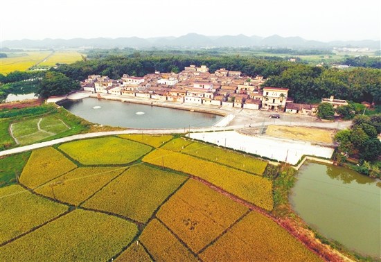 陳丹青故里。