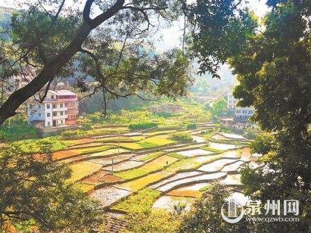 永春縣吾峰鎮(zhèn)吾頂村具有發(fā)展旅游的潛力，讓不少在外的村民漸漸回歸。 （梁白瑜 攝）