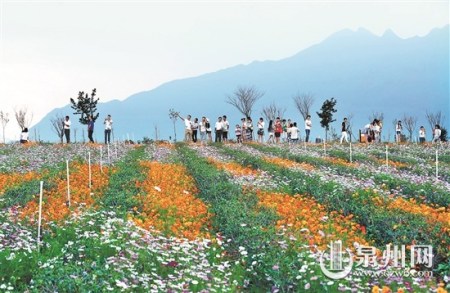 安溪虎邱雙格村的田園風(fēng)光 （張九強(qiáng) 攝）