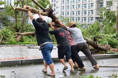 臺風過后重建校園