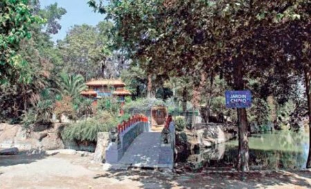 雜草叢生的中國公園 雜草叢生的中國公園