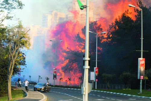 24日，以色列山火蔓延至城市，當(dāng)?shù)?萬(wàn)余人緊急疏散。美國(guó)《僑報(bào)》援引美聯(lián)社圖片