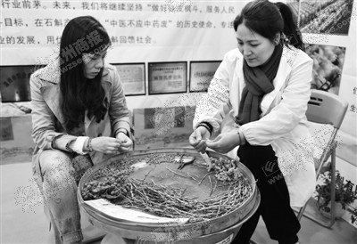 楓斗加工。金魚 攝