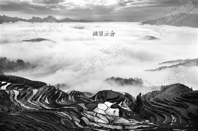 茗岙梯田。攝攝狼 攝