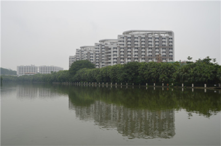 今年，東湖公園與五邑大學(xué)打開“圍墻”，新增了四個(gè)出入口。潘偉珊攝