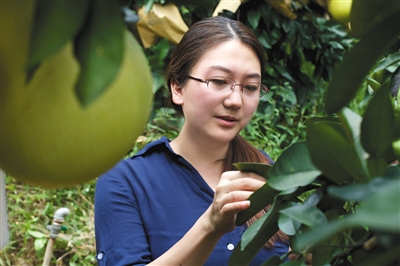 2014年，劉梅旭去一線收集果樹(shù)生長(zhǎng)的資料數(shù)據(jù)。