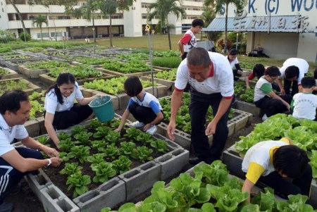 師生們與義工們?cè)诓似砸黄鸸ぷ鳎驗(yàn)橛辛艘粋€(gè)共同目標(biāo)，無(wú)形中促進(jìn)了彼此之間的情誼。（馬來(lái)西亞《星洲日?qǐng)?bào)》）