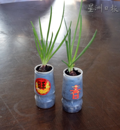  配合新春的到來(lái)，全校學(xué)生從一年級(jí)至六年級(jí)也發(fā)揮創(chuàng)意，充份利用各種容器如小花瓶，種植小品盆栽蔬菜，也動(dòng)手剪紙貼上吉祥的祝語(yǔ)。（馬來(lái)西亞《星洲日?qǐng)?bào)》）