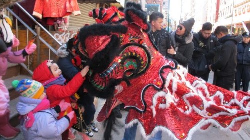 華埠舞獅日，數(shù)十醒獅鬧新春。(美國(guó)《世界日?qǐng)?bào)》/高夢(mèng)梓 攝)