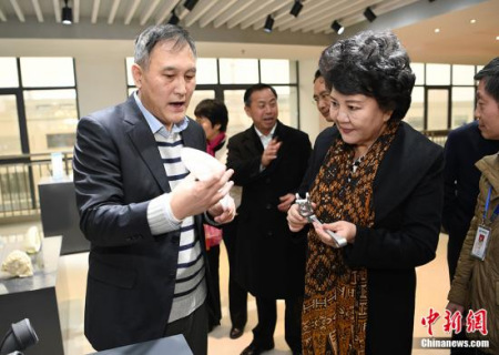 2017年1月24日，國務(wù)院僑務(wù)辦公室主任裘援平（圖右）來到長沙“僑夢苑”考察僑資企業(yè)，感受“僑商智造”。<a target='_blank' >中新社</a>記者 楊華峰 攝 