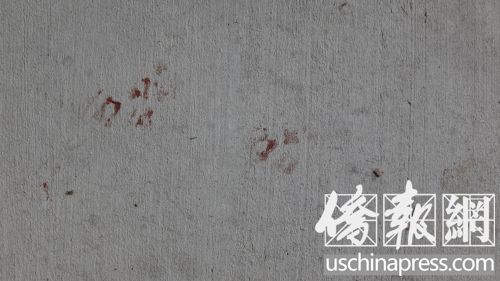 門前水泥地上清晰可見幾滴血跡。(美國《僑報》/高睿 攝)