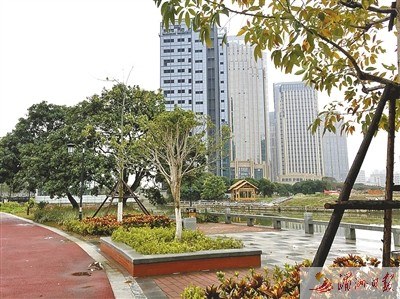 圖為延壽綠道莘郊段“口袋公園”。