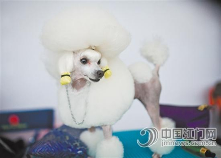 “我好看嗎？”