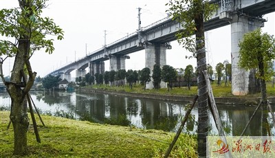 水系綠化——涵江梧梓河綠化。