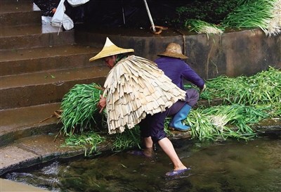 頭戴斗笠身披蓑衣的勞作者。