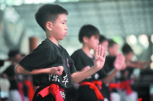 佛山的武術(shù)文化是影視產(chǎn)業(yè)可以挖掘的題材。