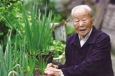 110歲的汪阿葉(女)是目前永嘉最年長的老人。 葉新人 攝