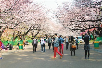 東京上野公園。 　　資料圖片