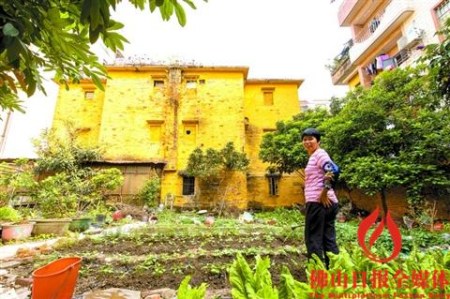 屋后的菜地上，一位市民正在為其種植的蔬菜澆水。 　　/佛山日報記者王澍攝