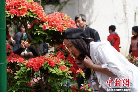 一位游客在惠山古鎮(zhèn)內(nèi)的錫惠景區(qū)聞香?！O權(quán) 攝