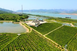 官?zèng)_窯遺址現(xiàn)在已經(jīng)變成了農(nóng)田林地。
