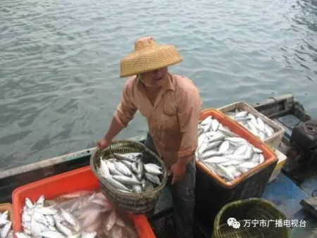 買賣間交流，好生熱鬧。