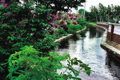 溪邊美景。（圖片由萬寧市委宣傳部提供）