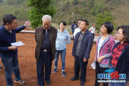 圖為加拿大僑領(lǐng)霍宗杰等正在云南考察。鐘欣 攝