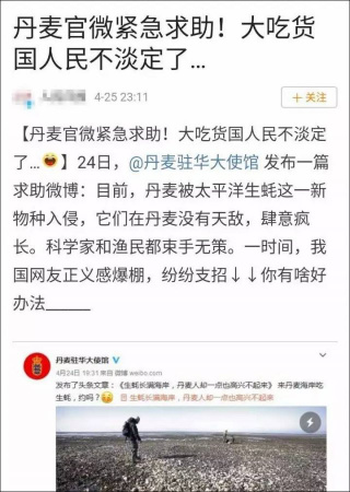 中國網(wǎng)民和媒體都很捧場，不少中國人躍躍欲試準(zhǔn)備組團(tuán)去丹麥吃生蠔。(圖片來源：微博截圖)