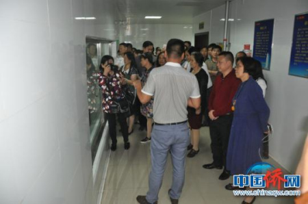 圖為僑商在雙匯集團(tuán)考察。林浩 攝