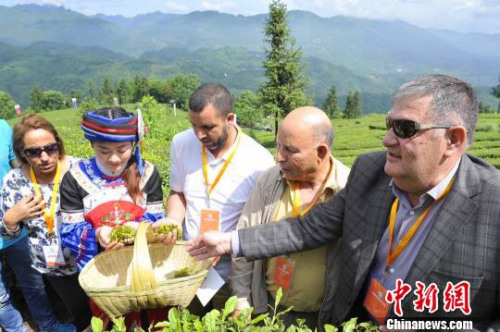 采購(gòu)商大會(huì)吸引眾多海外客商參加?！＄娦?攝