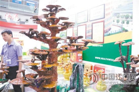 開平健之源保健食品有限公司是國家現(xiàn)代農(nóng)業(yè)示范基地，拳頭產(chǎn)品為有機(jī)鮮靈芝、靈芝蒜顆粒等。