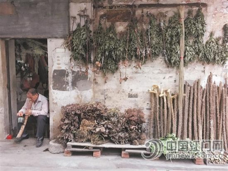 長寧路曾經(jīng)是聞名珠三角的“草藥街”。如今在街道當(dāng)中，仍然見到有老者在售賣草藥。