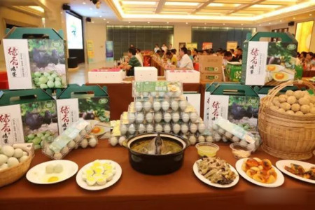 特產(chǎn)綠殼雞蛋。