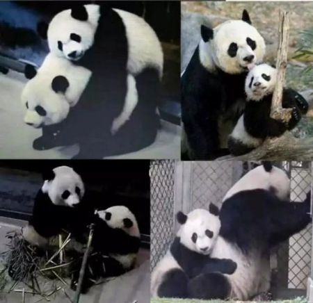 美香與貝貝 美香與貝貝