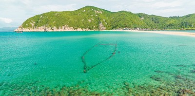 　大洲島的清澈海域。 謝 墨攝