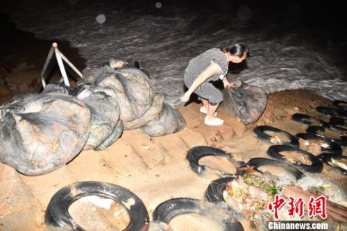 深圳南澳漁民應戰(zhàn)臺風“苗柏”來襲 陳文 攝 深圳南澳漁民應戰(zhàn)臺風“苗柏”來襲 陳文 攝
