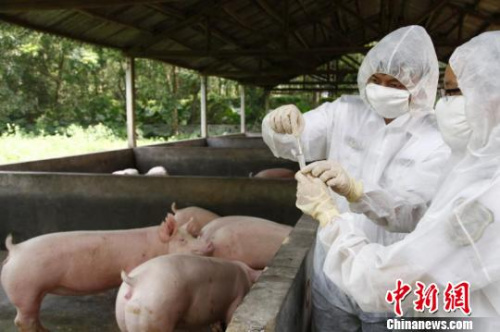 香港回歸20年，廣東堅(jiān)持保障供港食品農(nóng)產(chǎn)品安全優(yōu)質(zhì)順暢供應(yīng)。資料圖
