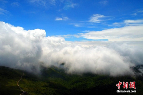 資料圖：神農(nóng)架現(xiàn)云海奇觀。 周星亮 攝