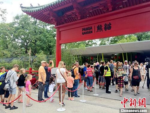 圖為德國觀眾在排隊(duì)等待進(jìn)入大熊貓館與熊貓親近。 <a target='_blank' >中新社</a>記者 鐘欣 攝
