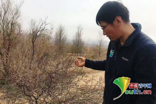 吳向榮觀察示范區(qū)樹木的生長情況。受訪者供圖