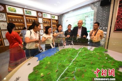 圖為柬埔寨主流媒體代表團在廣西藥用植物園內(nèi)與中方專家交流，了解廣西藥用植物發(fā)展狀況。　俞靖 攝