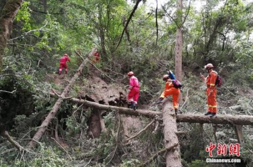 8月12日，中國國際救援隊(duì)再次深入九寨溝“8.8”地震震中，成功將一名遇難者遺體轉(zhuǎn)運(yùn)出來。 <a target='_blank' >中新社</a>發(fā) 王路寬 攝