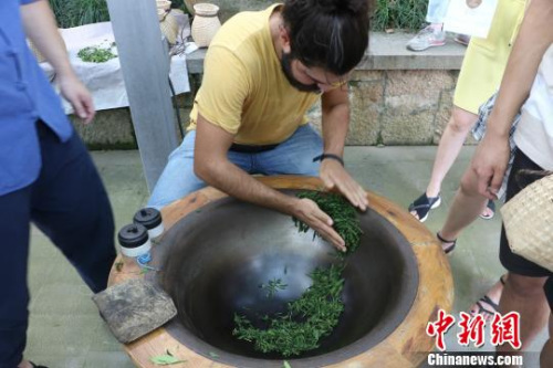 圖為：德國漢諾威孔子學(xué)院學(xué)生體驗(yàn)炒茶。　王瀟婧 攝