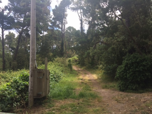 美國的國家公園基本都人煙稀少。(美國《世界日報》/張宏 攝)