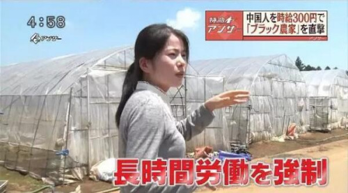 日本關(guān)于研修生境況的電視節(jié)目截屏 日本關(guān)于研修生境況的電視節(jié)目截屏