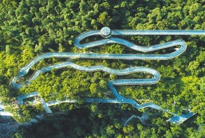 城市森林步道，金牛山福道。林熙 攝